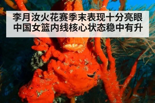 李月汝火花赛季末表现十分亮眼 中国女篮内线核心状态稳中有升